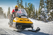 Snowmobile Insurance